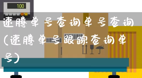 速腾单号查询单号查询(速腾单号跟踪查询单号)_https://www.senxinmaoyi.com_物流查询_第1张