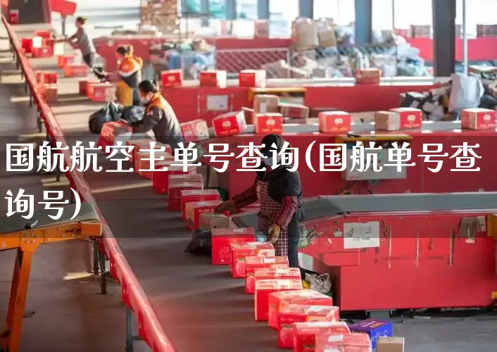 国航航空主单号查询(国航单号查询号)_https://www.senxinmaoyi.com_邮政编码_第1张