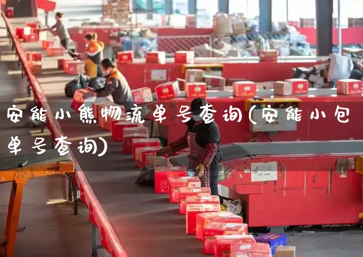 安能小熊物流单号查询(安能小包单号查询)_https://www.senxinmaoyi.com_物流单号_第1张