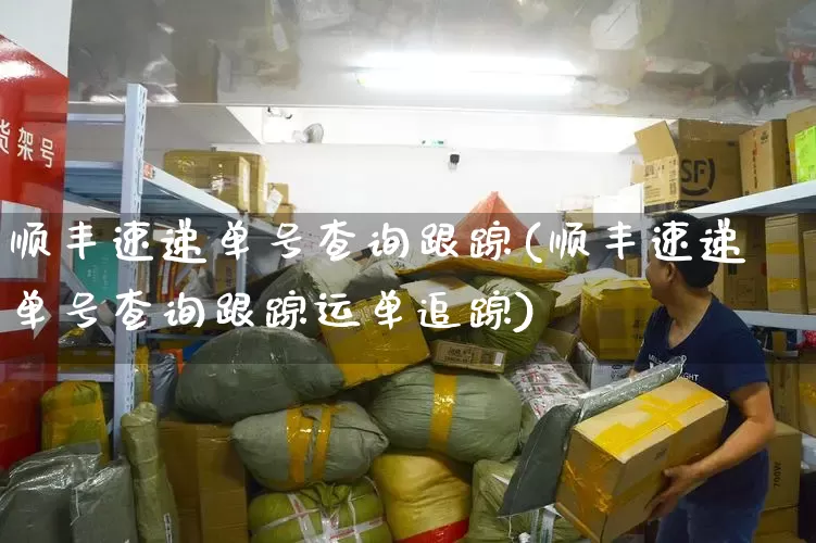 顺丰速递单号查询跟踪(顺丰速递单号查询跟踪运单追踪)_https://www.senxinmaoyi.com_快递查询_第1张