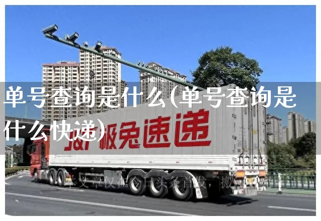 单号查询是什么(单号查询是什么快递)_https://www.senxinmaoyi.com_物流单号_第1张