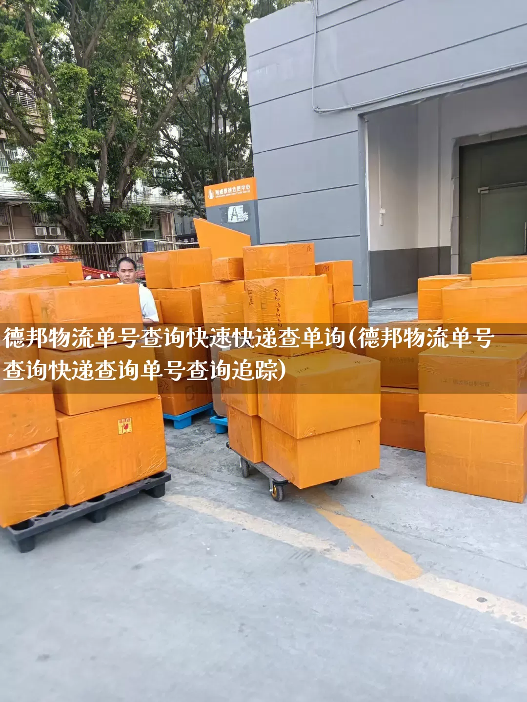 德邦物流单号查询快速快递查单询(德邦物流单号查询快递查询单号查询追踪)_https://www.senxinmaoyi.com_物流查询_第1张