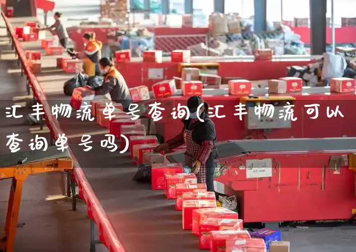 汇丰物流单号查询(汇丰物流可以查询单号吗)_https://www.senxinmaoyi.com_邮政编码_第1张