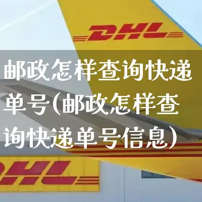 邮政怎样查询快递单号(邮政怎样查询快递单号信息)_https://www.senxinmaoyi.com_邮政编码_第1张