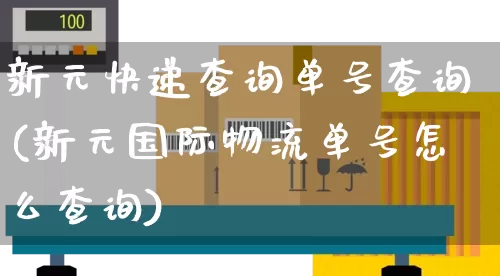 新元快递查询单号查询(新元国际物流单号怎么查询)_https://www.senxinmaoyi.com_物流查询_第1张