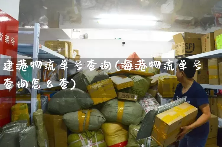 建港物流单号查询(海港物流单号查询怎么查)_https://www.senxinmaoyi.com_邮政编码_第1张
