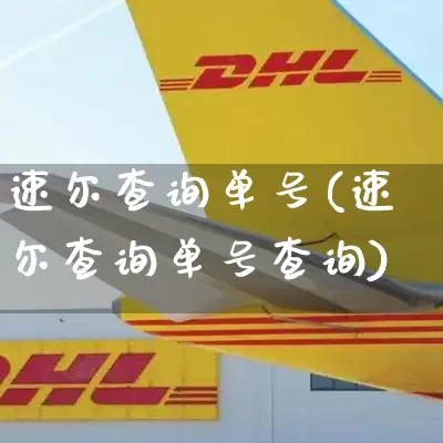 速尔查询单号(速尔查询单号查询)_https://www.senxinmaoyi.com_物流单号_第1张