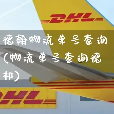 德翰物流单号查询(物流单号查询德邦)_https://www.senxinmaoyi.com_邮政编码_第1张
