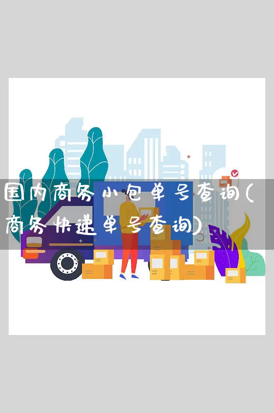 国内商务小包单号查询(商务快递单号查询)_https://www.senxinmaoyi.com_物流单号_第1张