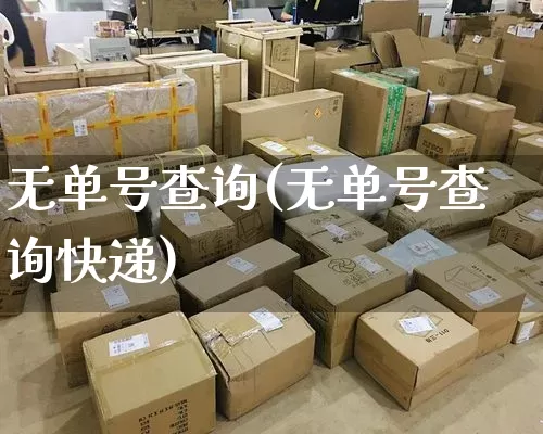 无单号查询(无单号查询快递)_https://www.senxinmaoyi.com_邮政编码_第1张