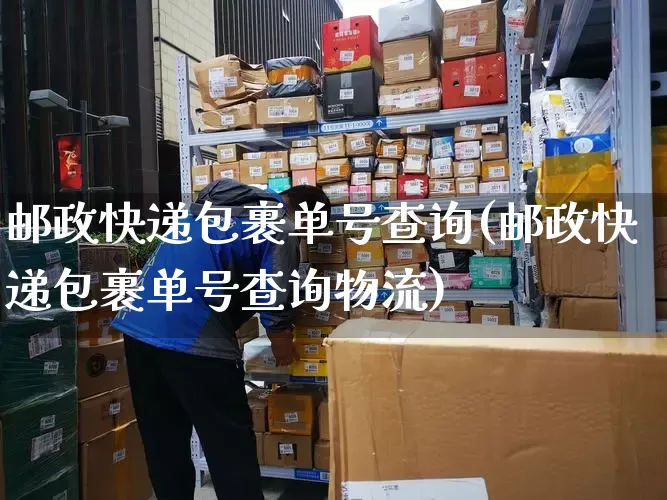 邮政快递包裹单号查询(邮政快递包裹单号查询物流)_https://www.senxinmaoyi.com_物流查询_第1张