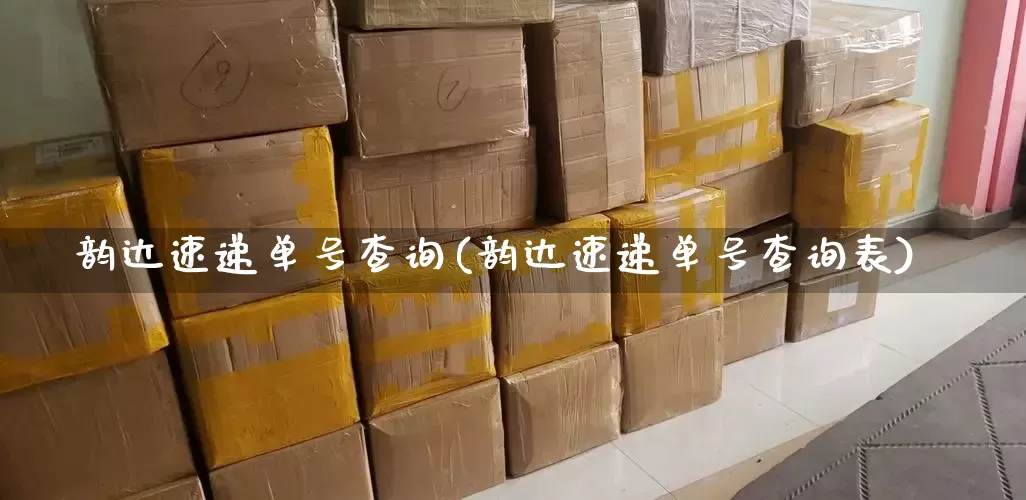 韵达速递单号查询(韵达速递单号查询表)_https://www.senxinmaoyi.com_快递查询_第1张