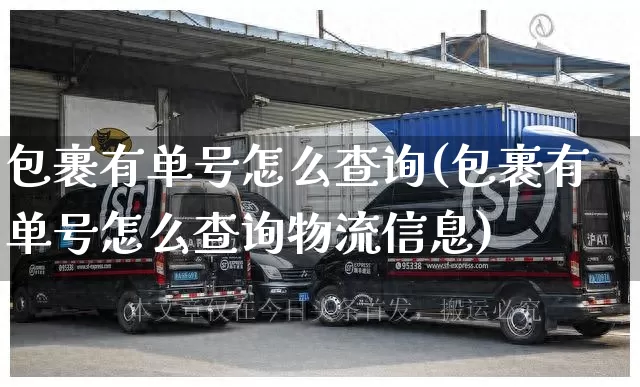 包裹有单号怎么查询(包裹有单号怎么查询物流信息)_https://www.senxinmaoyi.com_物流单号_第1张