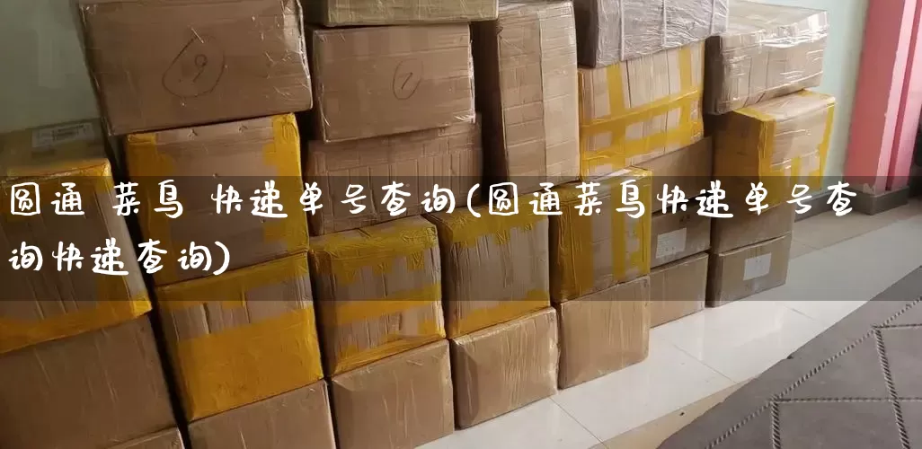 圆通 菜鸟 快递单号查询(圆通菜鸟快递单号查询快递查询)_https://www.senxinmaoyi.com_邮政编码_第1张