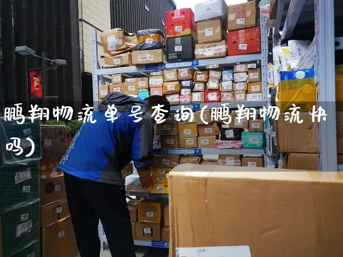 鹏翔物流单号查询(鹏翔物流快吗)_https://www.senxinmaoyi.com_物流单号_第1张