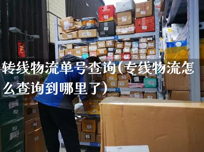 转线物流单号查询(专线物流怎么查询到哪里了)_https://www.senxinmaoyi.com_物流单号_第1张
