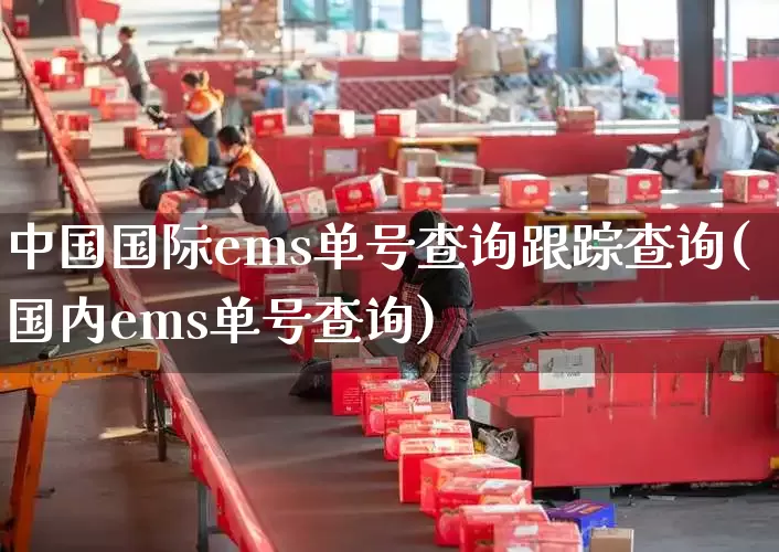 中国国际ems单号查询跟踪查询(国内ems单号查询)_https://www.senxinmaoyi.com_物流单号_第1张