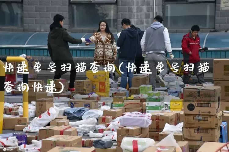快递单号扫描查询(快递单号扫描查询快递)_https://www.senxinmaoyi.com_邮政编码_第1张