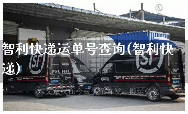 智利快递运单号查询(智利快递)_https://www.senxinmaoyi.com_邮政编码_第1张