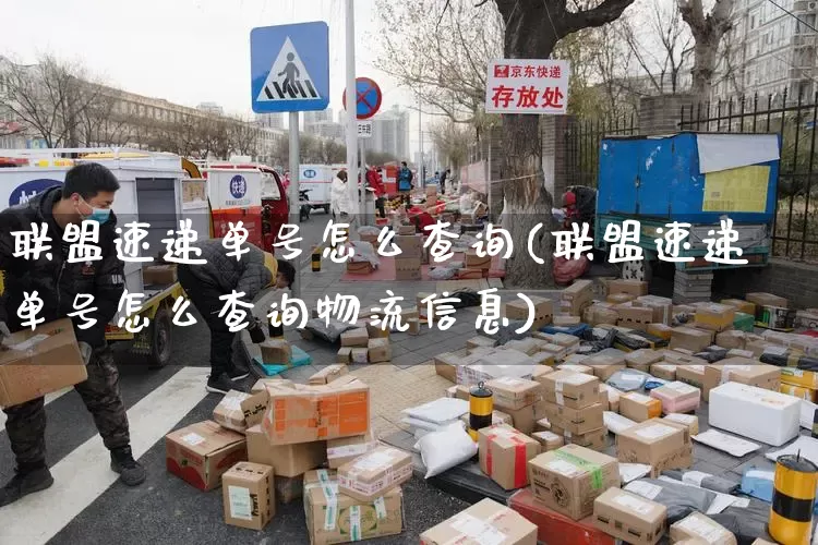 联盟速递单号怎么查询(联盟速递单号怎么查询物流信息)_https://www.senxinmaoyi.com_邮政编码_第1张