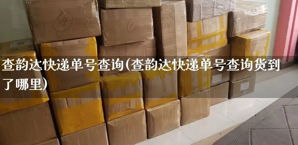 查韵达快递单号查询(查韵达快递单号查询货到了哪里)_https://www.senxinmaoyi.com_快递查询_第1张