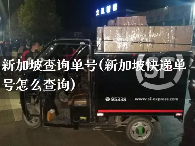 新加坡查询单号(新加坡快递单号怎么查询)_https://www.senxinmaoyi.com_物流查询_第1张