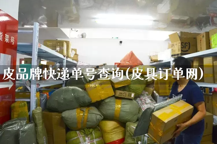 皮品牌快递单号查询(皮具订单网)_https://www.senxinmaoyi.com_物流单号_第1张
