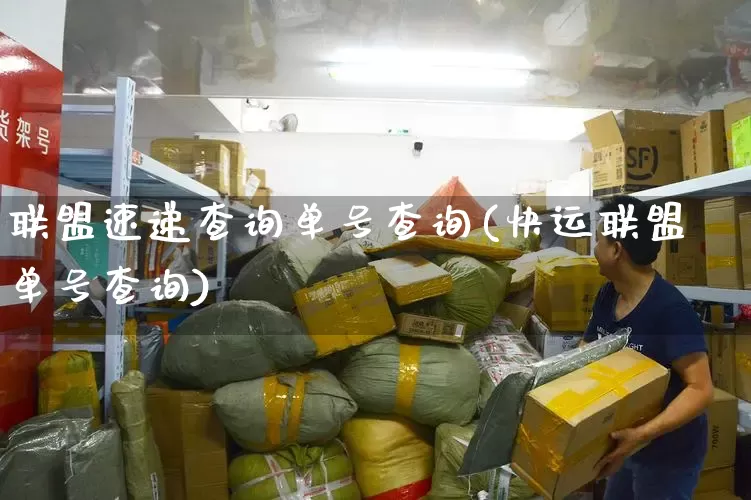 联盟速递查询单号查询(快运联盟单号查询)_https://www.senxinmaoyi.com_物流查询_第1张