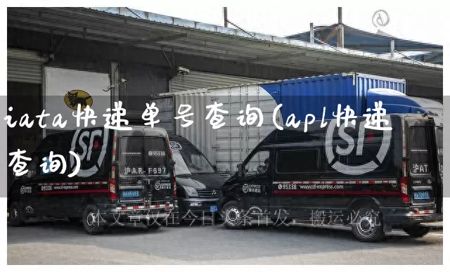 iata快递单号查询(apl快递查询)_https://www.senxinmaoyi.com_物流单号_第1张