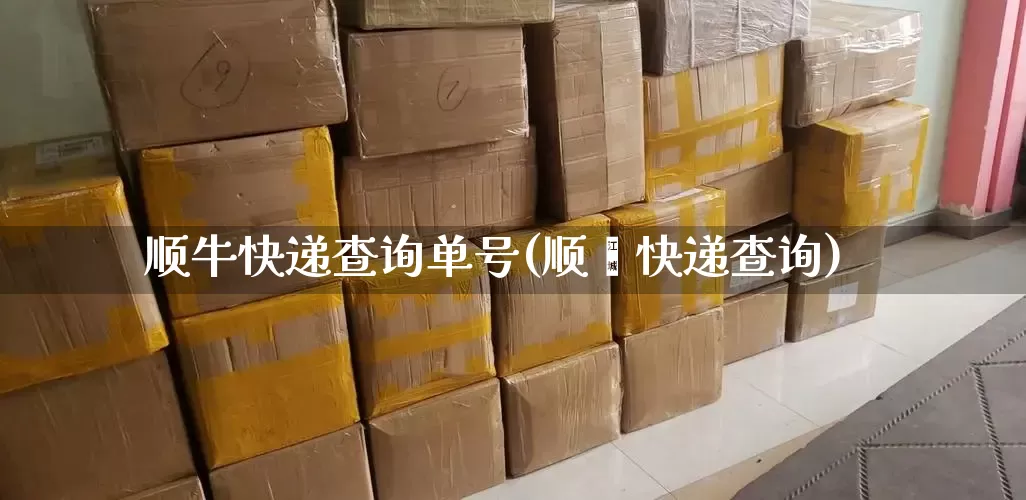 顺牛快递查询单号(顺肀快递查询)_https://www.senxinmaoyi.com_邮政编码_第1张