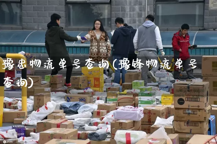 豫忠物流单号查询(豫锋物流单号查询)_https://www.senxinmaoyi.com_邮政编码_第1张