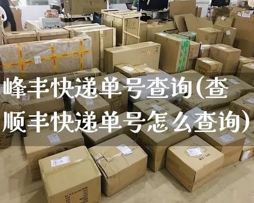 峰丰快递单号查询(查顺丰快递单号怎么查询)_https://www.senxinmaoyi.com_邮政编码_第1张