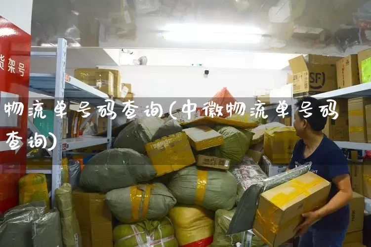 物流单号码查询(中徽物流单号码查询)_https://www.senxinmaoyi.com_物流查询_第1张