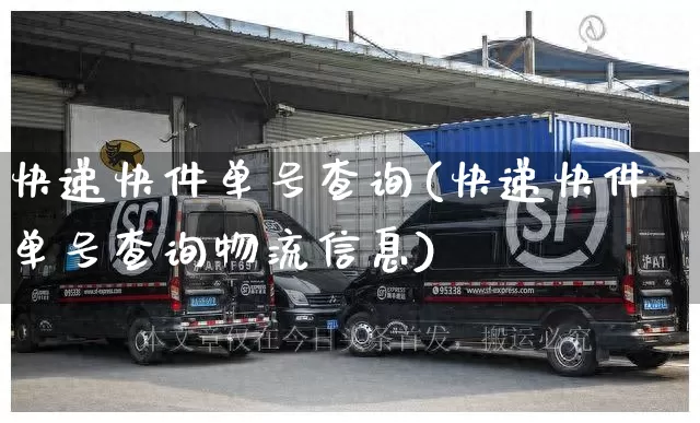 快递快件单号查询(快递快件单号查询物流信息)_https://www.senxinmaoyi.com_快递查询_第1张