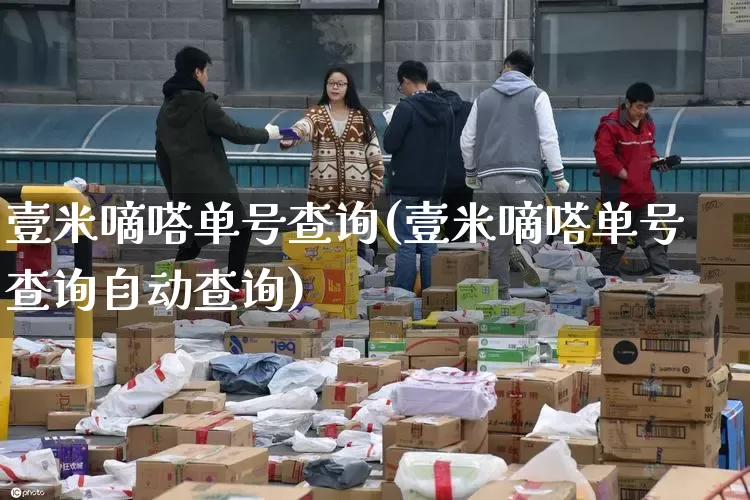 壹米嘀嗒单号查询(壹米嘀嗒单号查询自动查询)_https://www.senxinmaoyi.com_物流单号_第1张