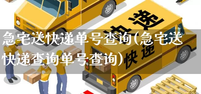 急宅送快递单号查询(急宅送快递查询单号查询)_https://www.senxinmaoyi.com_邮政编码_第1张