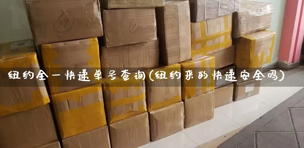 纽约全一快递单号查询(纽约来的快递安全吗)_https://www.senxinmaoyi.com_邮政编码_第1张
