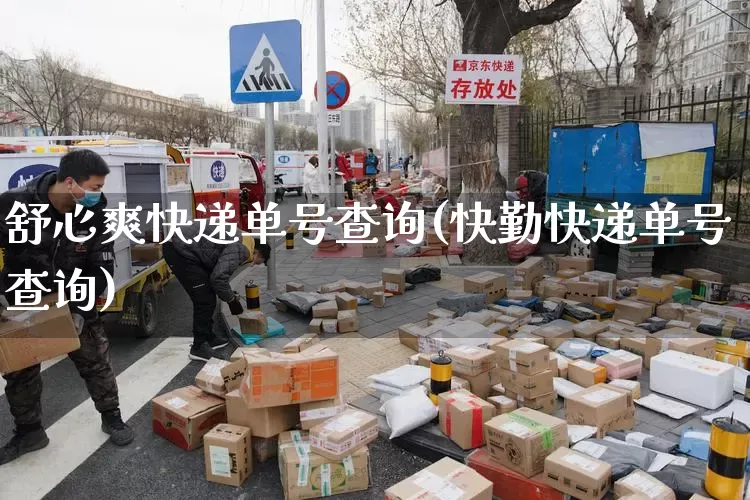 舒心爽快递单号查询(快勤快递单号查询)_https://www.senxinmaoyi.com_邮政编码_第1张