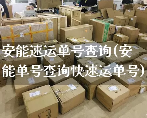 安能速运单号查询(安能单号查询快速运单号)_https://www.senxinmaoyi.com_快递查询_第1张