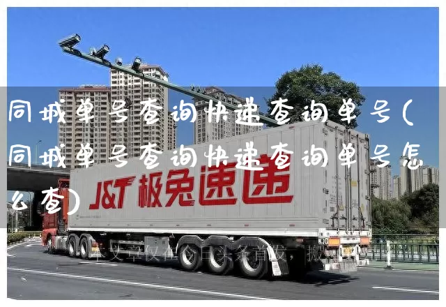 同城单号查询快递查询单号(同城单号查询快递查询单号怎么查)_https://www.senxinmaoyi.com_快递查询_第1张