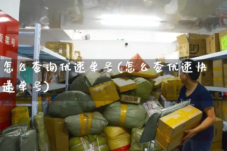 怎么查询优速单号(怎么查优速快递单号)_https://www.senxinmaoyi.com_邮政编码_第1张