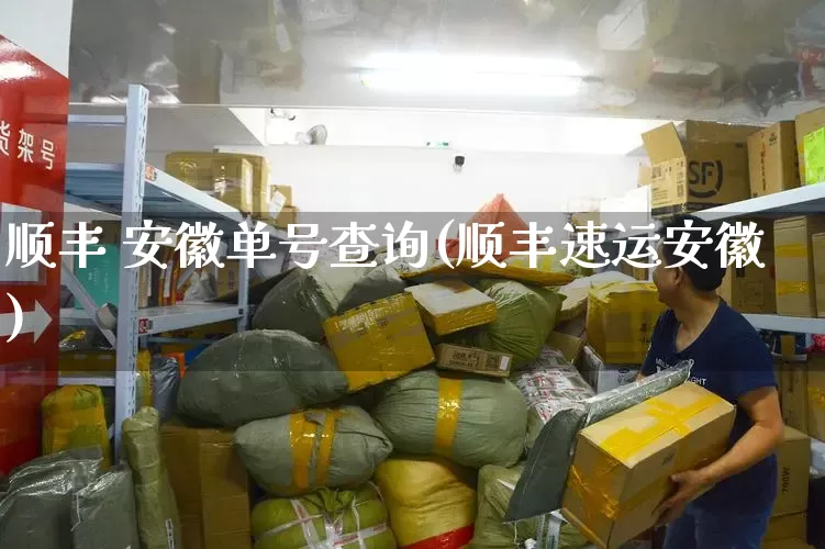 顺丰 安徽单号查询(顺丰速运安徽)_https://www.senxinmaoyi.com_邮政编码_第1张