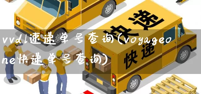 vvdl速递单号查询(voyageone快递单号查询)_https://www.senxinmaoyi.com_物流查询_第1张